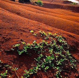 《守望先锋2》RTX 4090：1440P跑出超500FPS